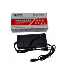 爱风鸟48V2A大头